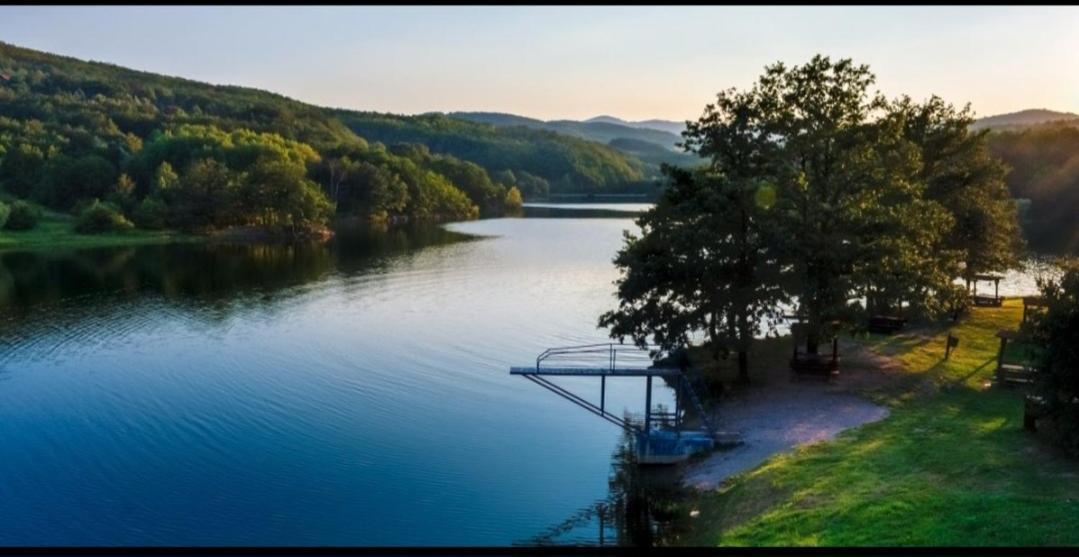 Vila Tea Borsko Jezero Villa Exterior photo